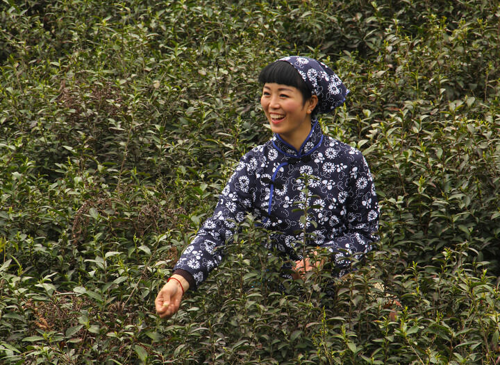 最新影视